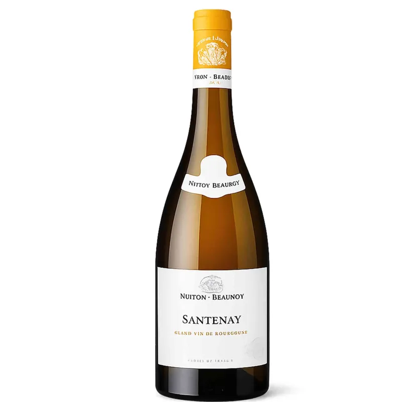 Santenay Blanc Nuiton-Beaunoy – Grand vin blanc de Bourgogne Chardonnay aux notes beurrées et minérales