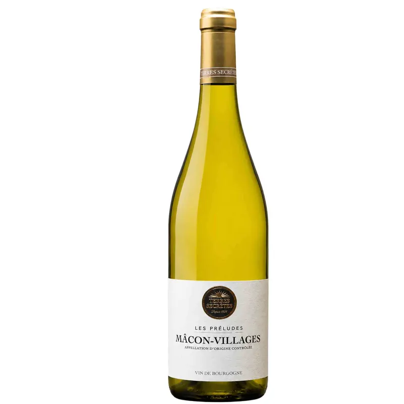 Mâcon-Villages | Terres Secrètes 75cl