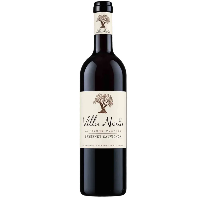 Cabernet Sauvignon La Pierre Plantée – Domaine Villa Noria, vin rouge bio du Languedoc, idéal avec viandes et fromages affinés