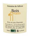 Appellation AOC Saumur Champigny BIO Domaine Valbrun à prix mini