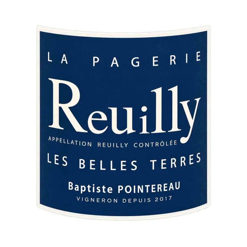 Reuilly blanc bio Les Belles Terres Domaine  de la Pagerie à prix mini