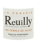 Reuilly blanc Les Terres de Silice Domaine  de la Pagerie à prix mini.