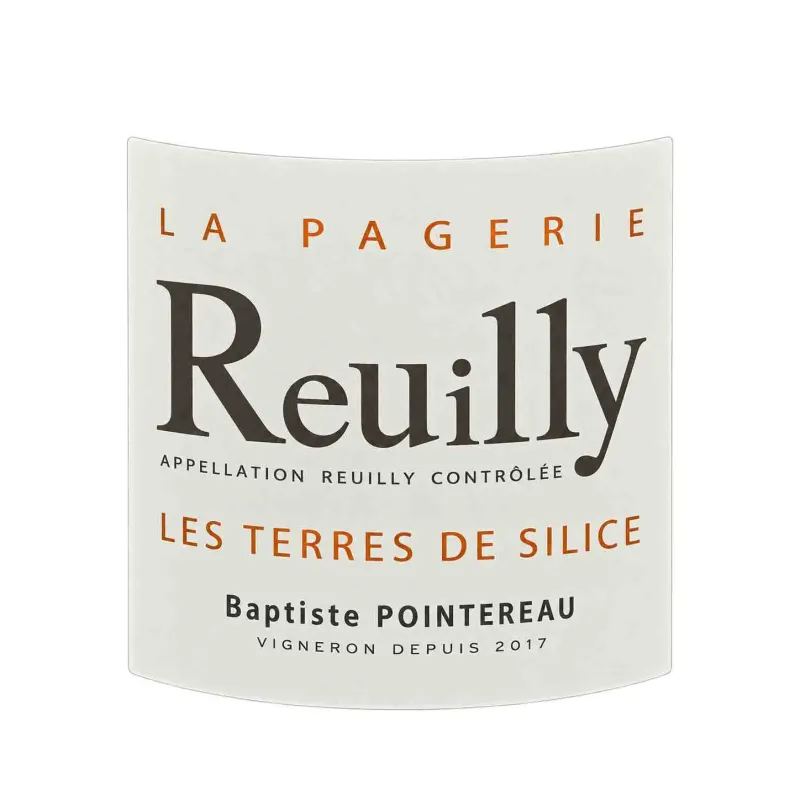 Reuilly blanc Les Terres de Silice Domaine  de la Pagerie à prix mini.