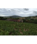 Vin rouge Rhône Saint Joseph- Cuvée Pradelle - Pardon et Fils 75cl