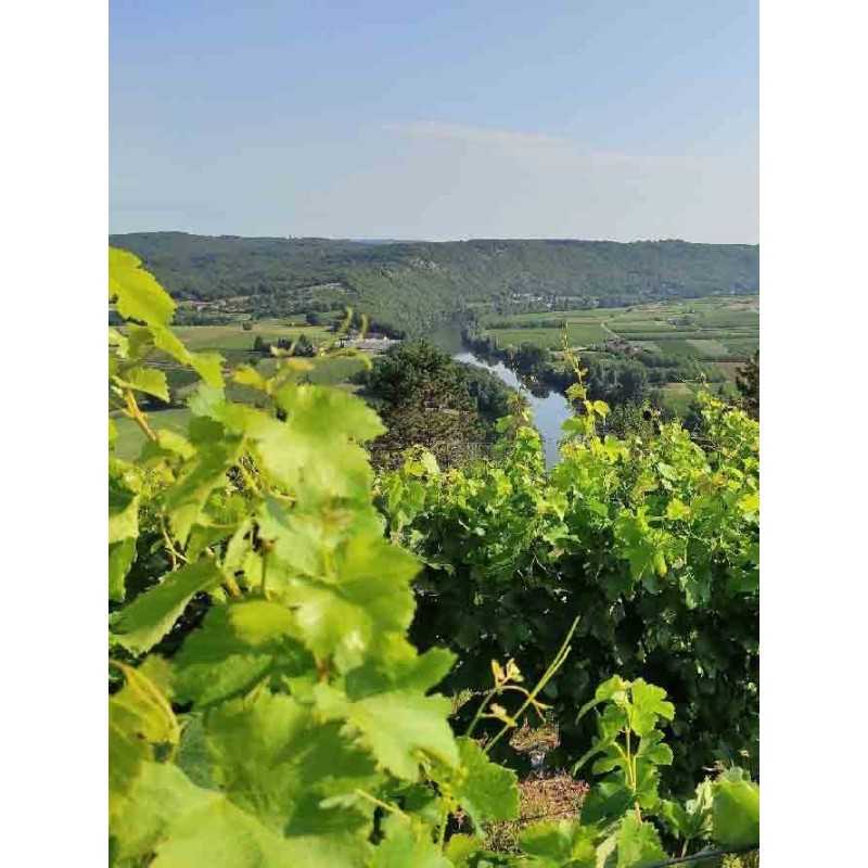 Vin Rouge Cahors - Château Eugénie Domaine Couture 75cl