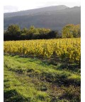 Vin Rouge Bourgogne Hautes Côtes de Beaune - Nuiton Beaunoy 75cl