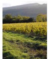 Vin rouge Bourgogne Hautes Côtes de Beaune - Aux Meix Genêts-Nuiton Beaunoy 75cl
