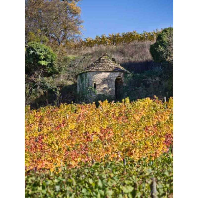 Crémant de Bourgogne Blancs de Blancs Victorine de Chastenay 75cl