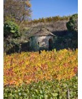 Crémant de Bourgogne Brut Victorine de Chastenay 75cl