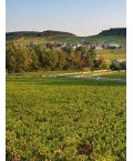 Vin Bourgogne Mercurey Rouge - Vignerons de Buxy 75cl