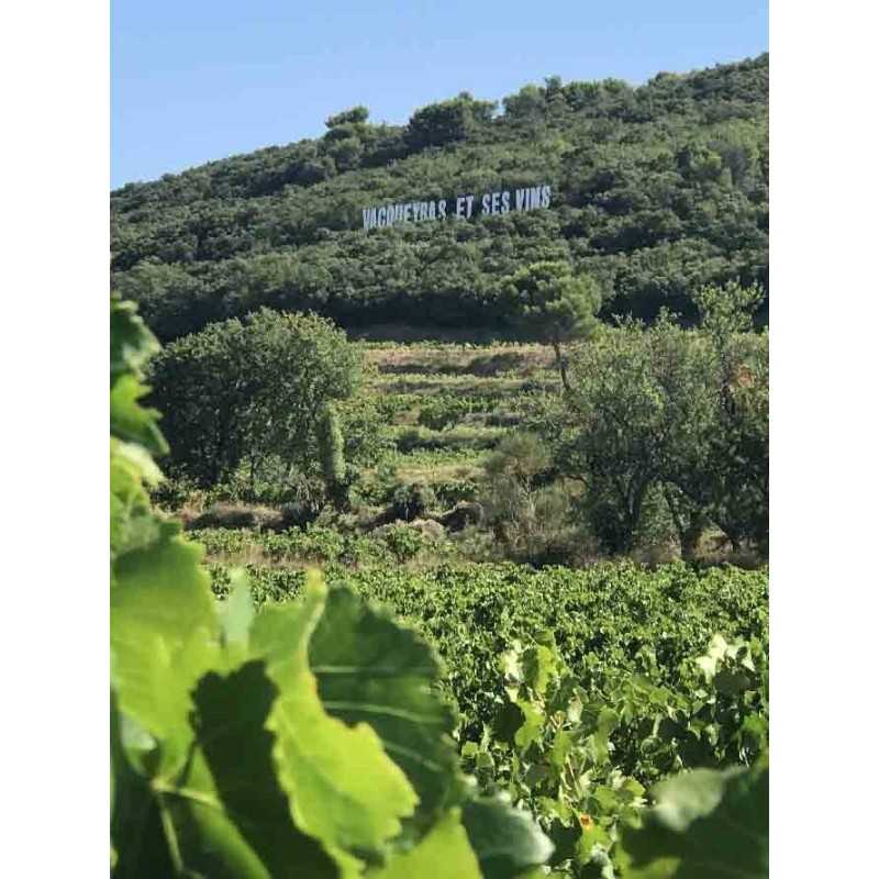 Vin Rouge-Rhône-Vacqueyras - Château Lestours Clocher - Les Pénitents 75cl