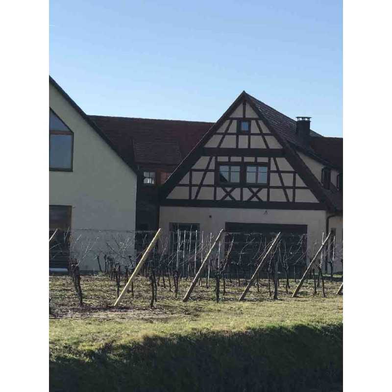 Vin D'Alsace Pinot Gris - Sélection Grains Nobles Koeberlé-Bléger 50cl