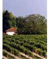 Médoc - L'Inclassable - Vin Végan Domaine Rémy Fauchey