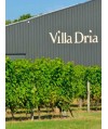 Vin Blanc Gasgogne-Villa Club Nacré- Villa Dria 75cl