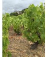 Vin rouge Beaujolais Fleurie - Domaine Pardon 37,5cl