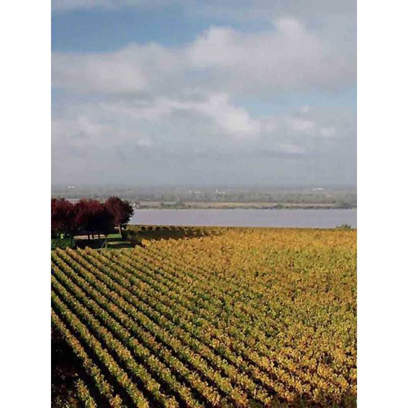 Bordeaux - Château Chatagnau -Entre-Deux-Mers 75cl