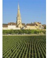 Vin Rouge Bourgogne Chorey-les-Beaune - Les Champs Piétants Domaine Boyer 75cl