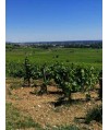 Vin blanc Bourgogne Mercurey Blanc - Domaine Boyer 75 cl