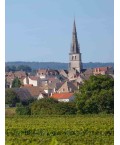Vin blanc Bourgogne Mercurey Blanc - Maison Boyer 75 cl