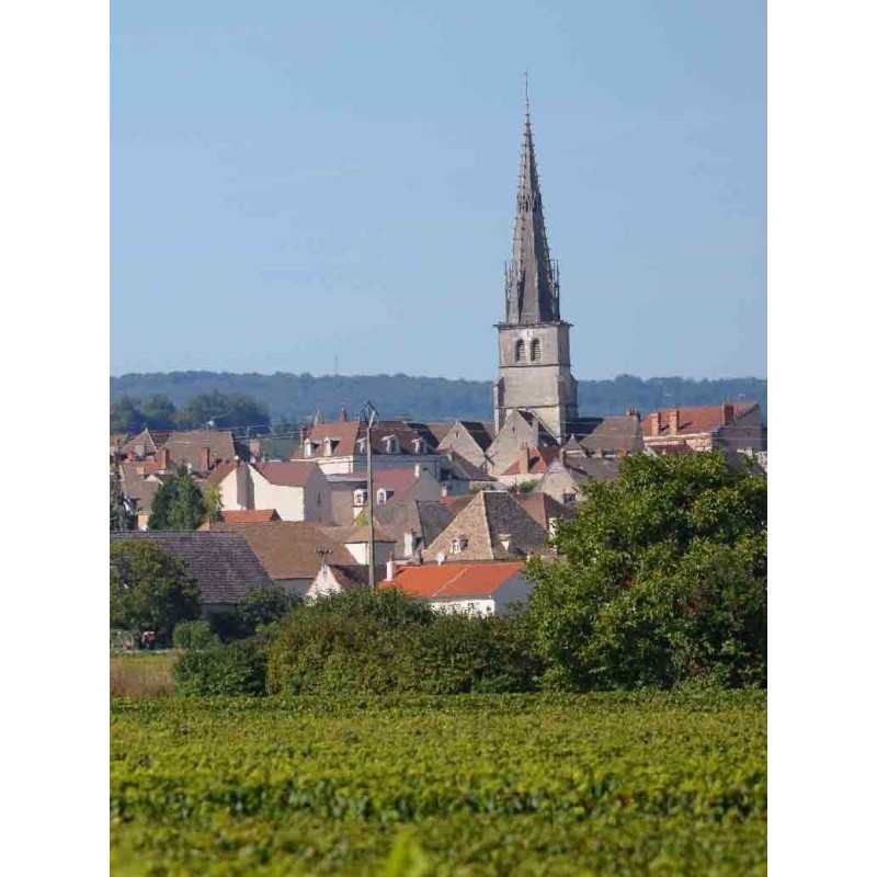 Vin blanc Bourgogne Mercurey Blanc - Maison Boyer 75 cl
