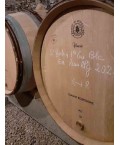 Vin blanc Bourgogne Saint-Aubin 1er Cru Les Champlots - Domaine Bouton 75cl