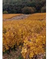 Vin de Paille- Jura- Domaine Jean-Luc Mouillard 37.5cl