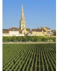 Vin Rouge Bourgogne Nuits Saint Georges Maison Boyer 75cl