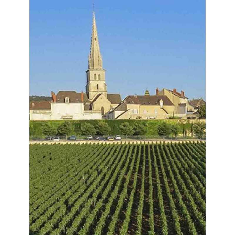 Vin Rouge Bourgogne Nuits Saint Georges Maison Boyer 75cl