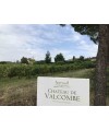 Vin blanc Roussanne Maxime & Raphael -Château de Valcombe