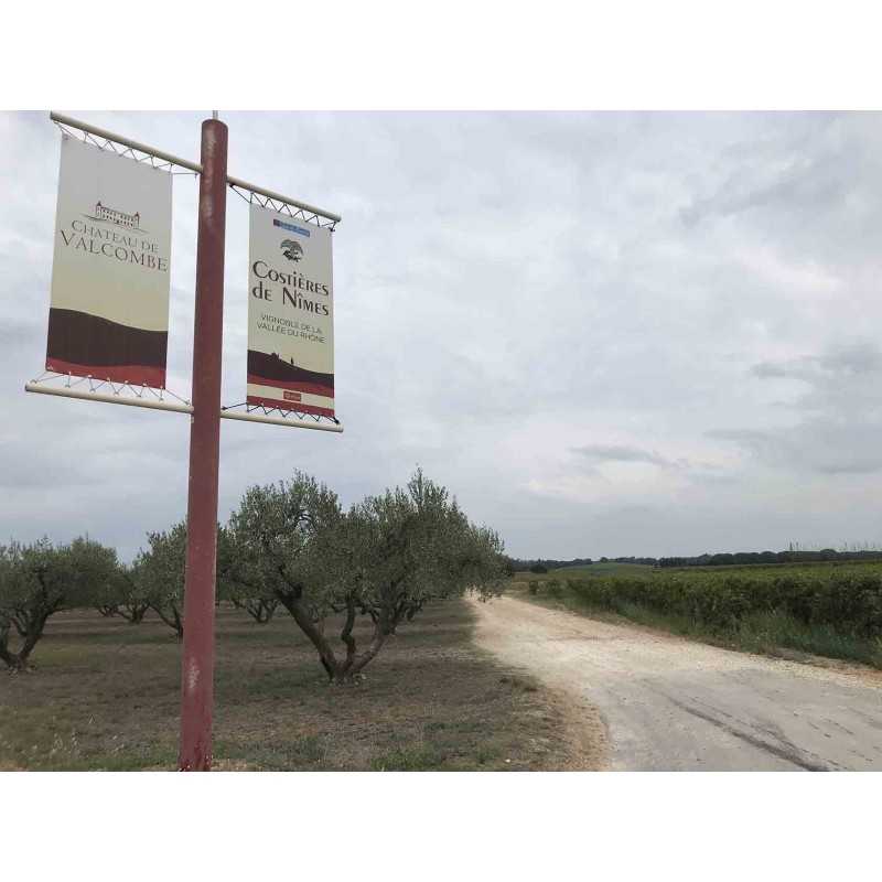 Vin blanc AOP Costières de Nîmes Les Sentiers de Septembre - Château de Valcombe