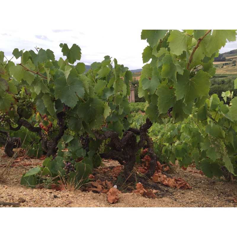 Vin rouge Beaujolais Fleurie - Domaine Pardon 75cl