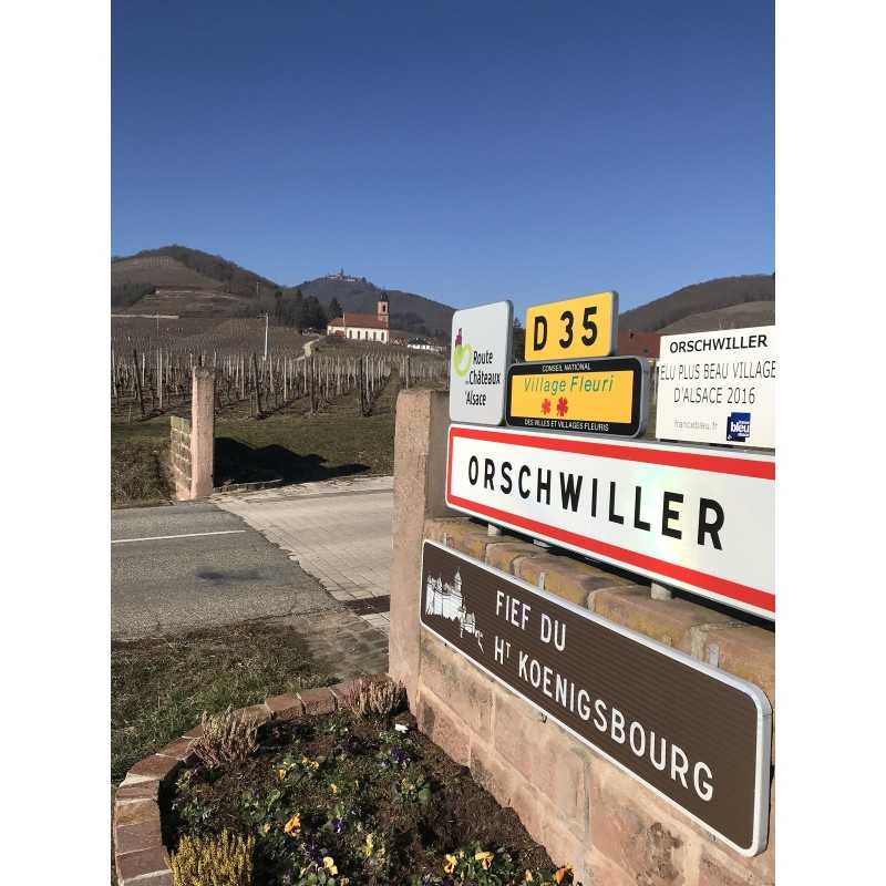  Vin blanc D'Alsace Pinot Gris - Château de Kintzheim 75cl