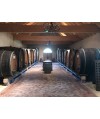  Vin blanc D'Alsace Riesling - Grand Cru Praelatenberg 75cl