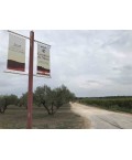 Vin rouge Maxime & Raphael  -Château de Valcombe