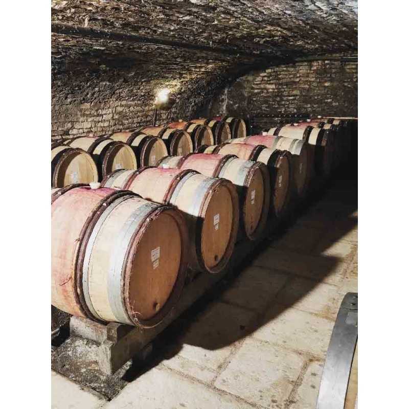 Vin Rouge Bourgogne Mercurey Rouge- Maison Gérard Boyer 75cl
