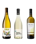 Coffret vin Petit Budget 3 Bouteilles de vin blanc sec