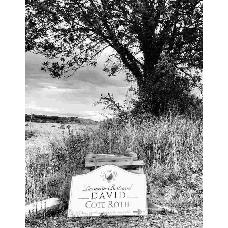 Vin rouge Côte Rôtie - Domaine David 75cl