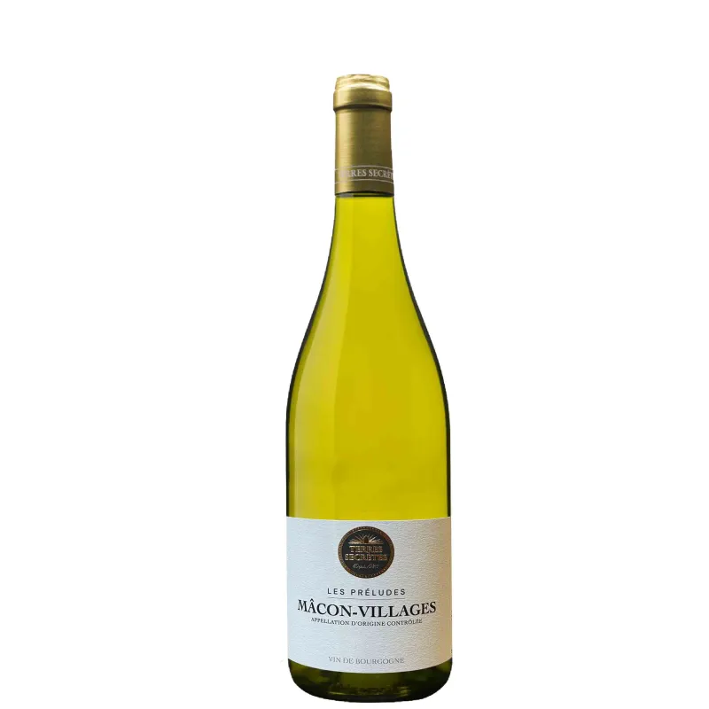 Vin Bourgogne Mâcon Villages Blanc - Terres Secrètes 75cl