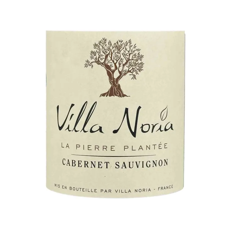 Cabernet Sauvignon La Pierre Plantée – Vin rouge bio du Languedoc