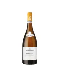 Santenay Blanc Nuiton-Beaunoy – Grand vin blanc de Bourgogne Chardonnay aux notes beurrées et minérales