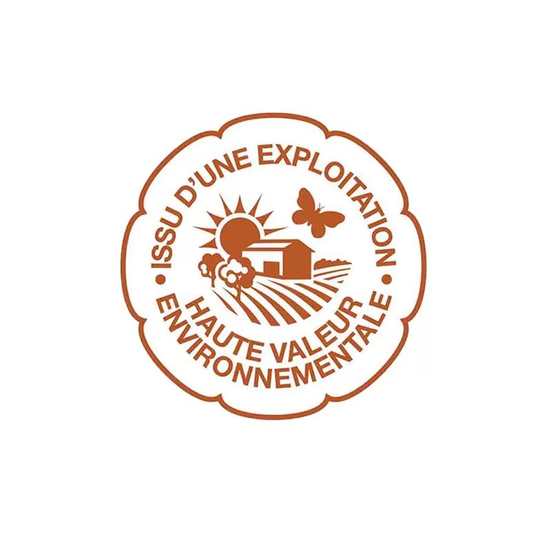 Un magnifique vin rosé de Provence du Domaine Terre de Mistral