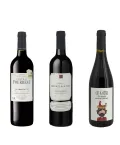 Découvrez 6 bonnes petites bouteilles de vin rouge à prix mini !