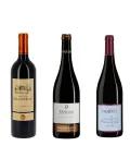 Découvrez 6 bonnes petites bouteilles de vin rouge à prix mini !