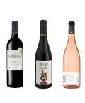 Coffret de vins Petit Budget-3 Bouteilles