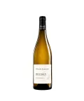 Reuilly blanc - Les Coignons - Domaine Denis Jamain et Domaine Joseph de Maistre