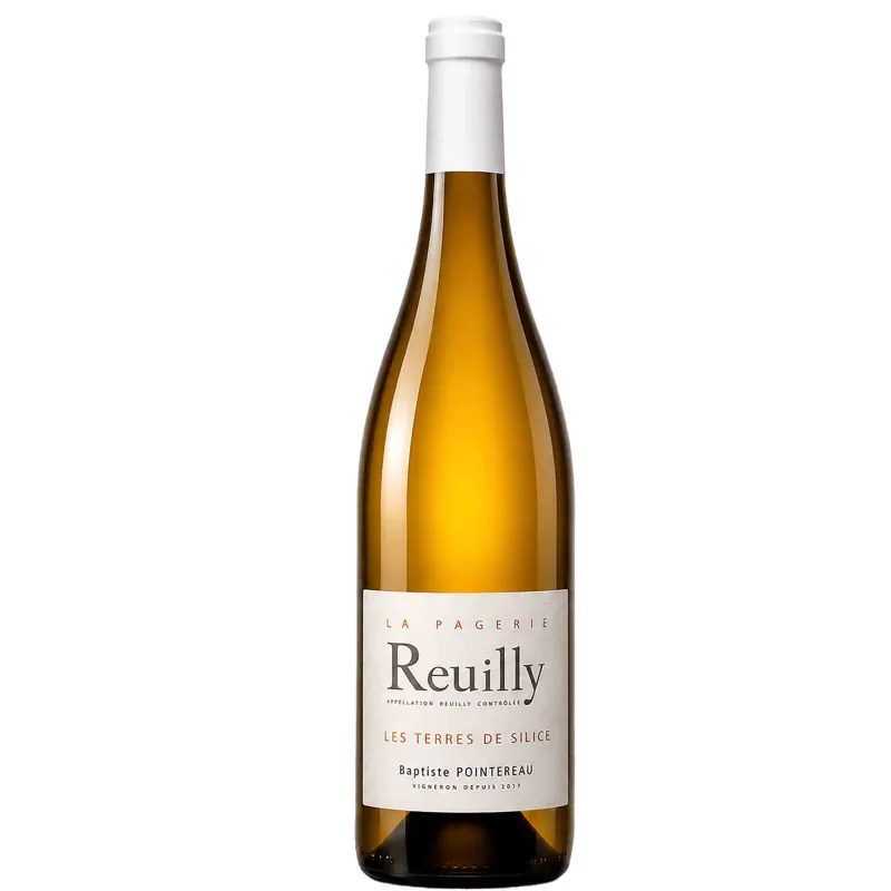Vin blanc Loire - Reuilly blanc  -Les terres de Silice - Domaine  de la Pagerie - Baptise Pointereau