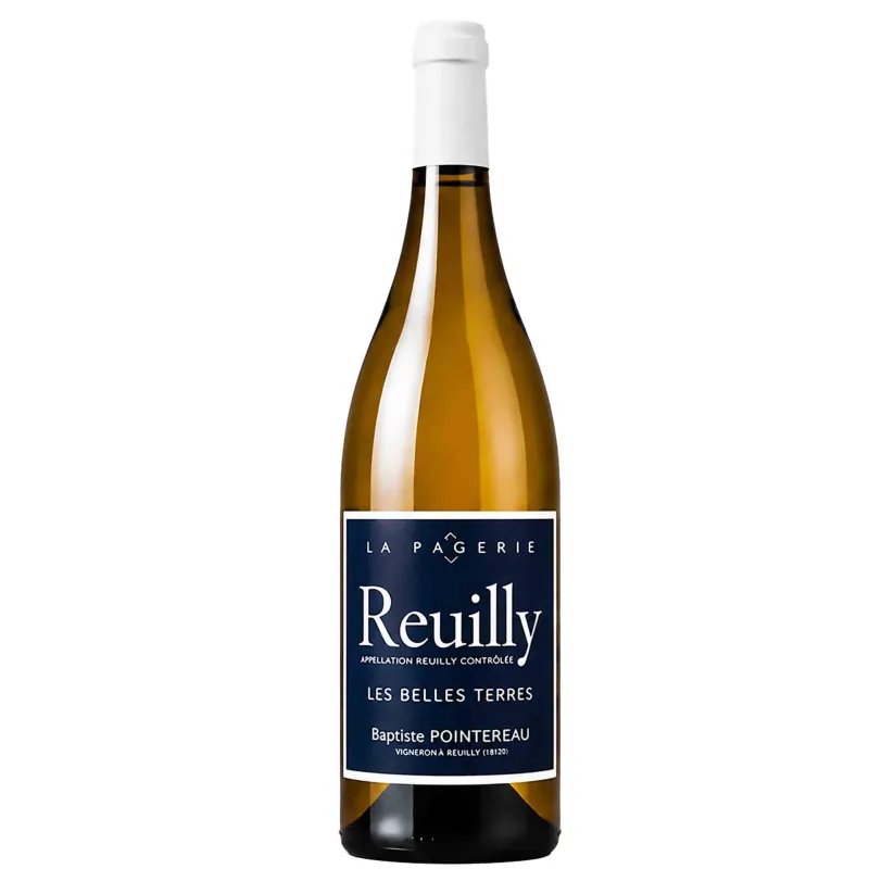 Reuilly Bio - Les Belles Terres - Domaine  de la Pagerie - Baptiste Pointereau