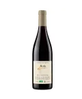 vin rouge Loire - Saumur Champigny Bio (AOC) | Bois Pivain - Domaine du Valbrun