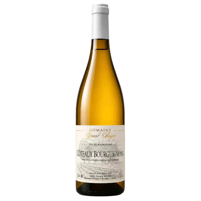 Vin blanc Bourgogne - Côteaux Bourguignon Blanc- Maison Gérard Boyer 75cl