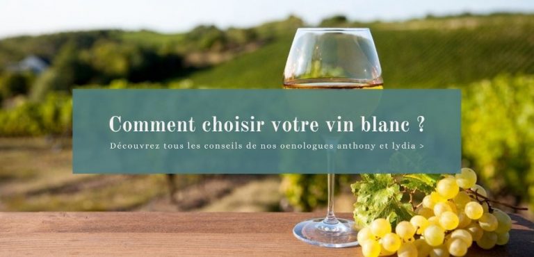 comment choisir vin blanc 768x370